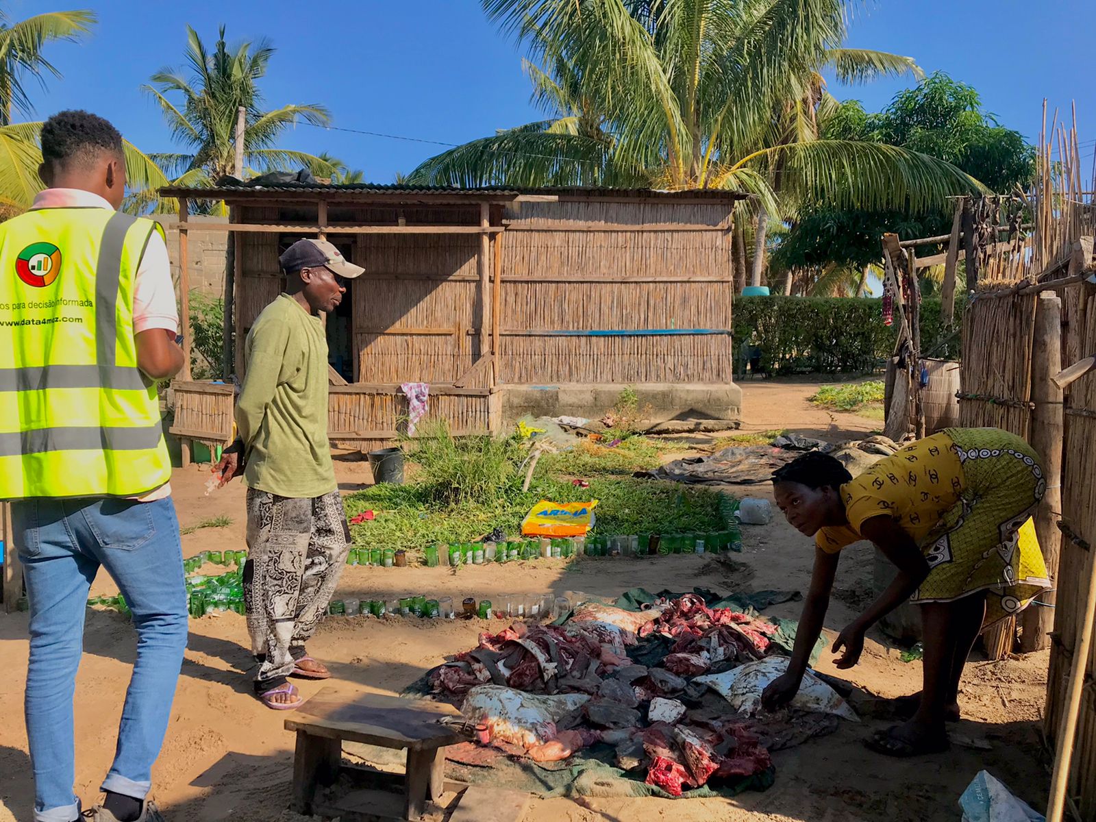 Fisheries Value Chain Mapping and Community Governance in Bazaruto Archipelago National Park - Image 2